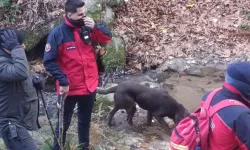 Büyükşehir Belediyesi Elif için seferber oldu