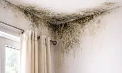 DEÜ'lü profesörden uyarı: Nem ve küf sağlığı tehdit ediyor