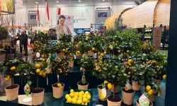 Kestel'in yeşil gücü Almanya'da görücüye çıktı