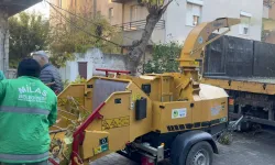 Muğla Milas'ta dal öğütme makinesi hizmette