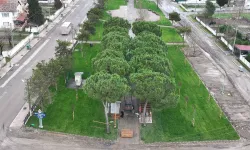 Sakarya Büyükşehir'den Söğütlü'ye yeni yaşam alanı