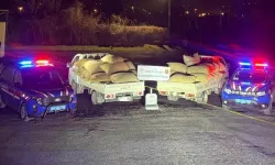 Fındıkta eksik tartım yapan 3 şüpheli yakalandı