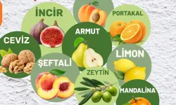 Muğla Milas'ta üreticilere fidan desteği sağlanacak