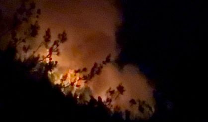 Adana ve Osmaniye’de 14 farklı noktada orman yangını çıktı, 13’ü kontrol altında