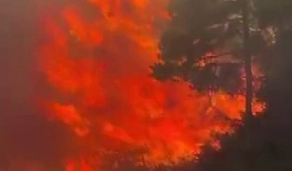 Adana’da orman yangını