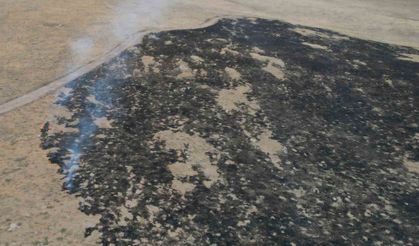 Alevler, tarım arazisine metreler kala kontrol altına alındı: 250 dönüm otluk alan kül oldu
