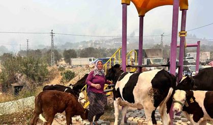 Alevlerin sıçradığı ahırından ekiplerin yardımıyla hayvanları kurtardı