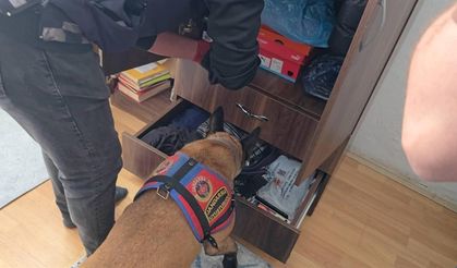 Artvin’de uyuşturucu operasyonu: 7 zehir taciri tutuklandı