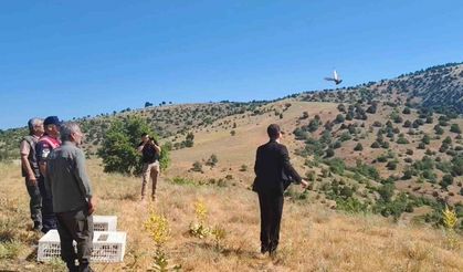 Aydıncık’ta 225 adet keklik doğaya salındı