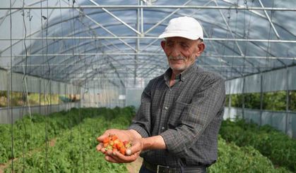 Bayburtlu çiftçinin yıkılan serası devlet eliyle yeniden ayağa kaldırıldı