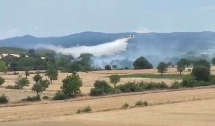 Bayramiç’te tarım arazisinde çıkan yangın kontrol altına alındı