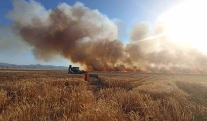 Bingöl’de onlarca dönüm ekili arazi küle döndü