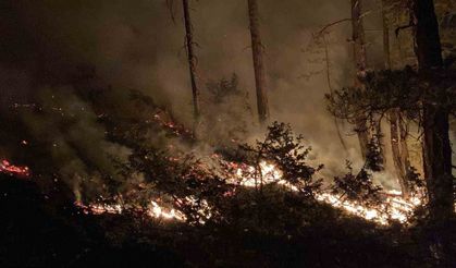 Bolu’daki orman yangını 8 saatte kontrol altına alındı