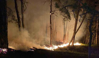Bolu’daki orman yangını büyüyor: Karadan müdahale sürüyor