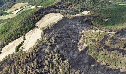Bolu’daki orman yangınında 25 hektarlık alan küle döndü