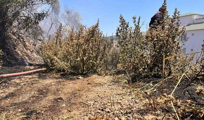 Boş araziden alevler yükseldi, vatandaşlar ve ekipler seferber oldu