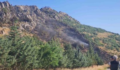Bucak’taki orman yangını söndürüldü