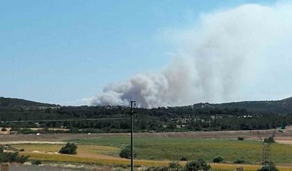 Çanakkale’de tarım arazisinde yangın