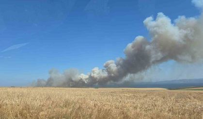 Çanakkale’de yangında yaklaşık 100 dönümlük alan zarar gördü