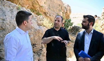 Derik Kaymakamı Bayraklı, zeytinliklerde yürütülen sulama çalışmalarını inceledi