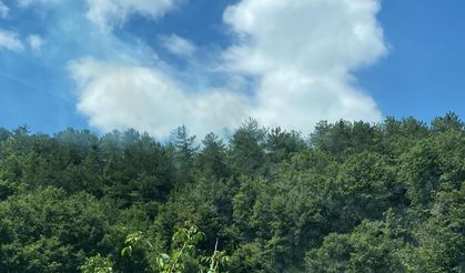 Gölpazarı’nda yangın bölgesinde alevler yeniden yükseldi, ekipler harekete geçti