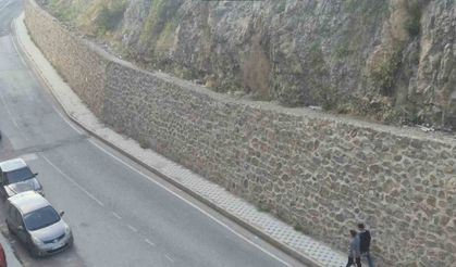 Gümüşhane dağlarının süsü yaban keçileri şehrin de süsü oldu