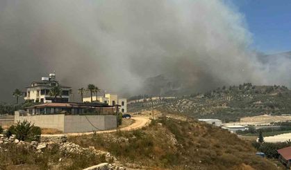 Hatay’da orman yangını
