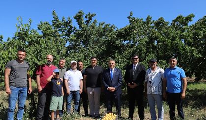 Iğdır Üniversitesi uygulama bahçesinde "Kayısı Hasadı Etkinliği" düzenlendi
