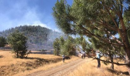 Kahramanmaraş’ta orman yangını