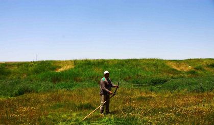 Malazgirt’te tırpanın son ustası