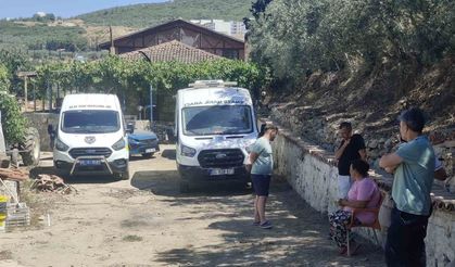 Mandalina bahçesinde ölü olarak bulundu