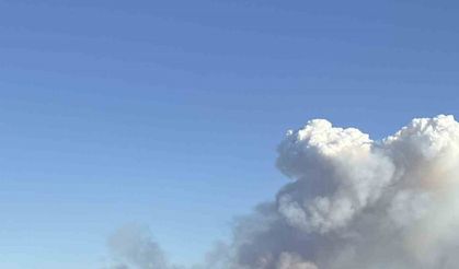 Manisa’nın farklı bir noktasında daha orman yangını çıktı