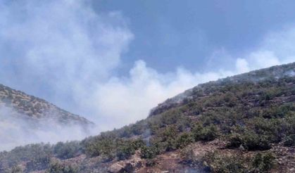 Mardin’de ormanlık alanda çıkan yangına müdahale sürüyor