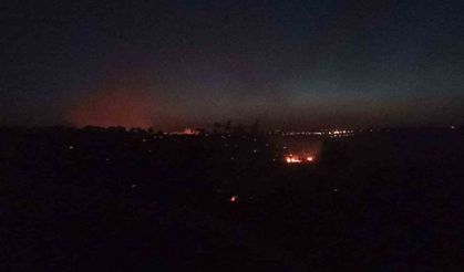 Mardin’deki orman yangını kontrol altına alındı