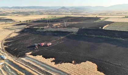 Merzifon’da 80 dönüm tarım arazisi yandı, yanan alan havadan görüntülendi