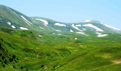 Posof’ta yayla mevsimi başladı