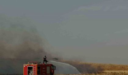 Siirt Valiliği yangınlara karşı uyardı