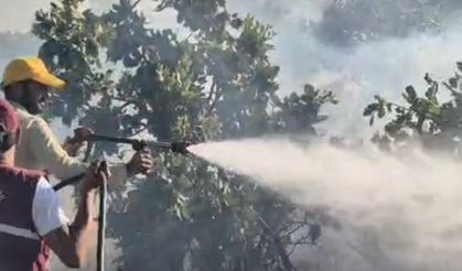 Siirt’te çıkan örtü yangını söndürüldü