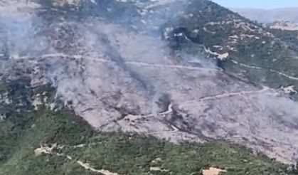 Sultanhisar yangınına müdahale sürüyor