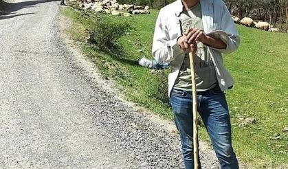 Trabzonlu çoban Gümüşhane’de kene ısırması sonucu hayatını kaybetti