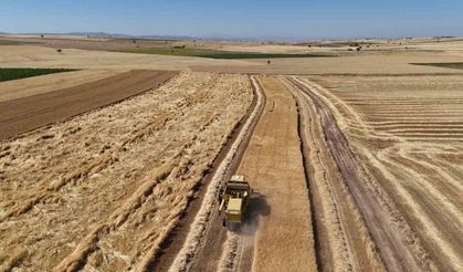 Uşak’ta kuraklığa dayanıklı arpa ve buğdayın hasadına başlandı