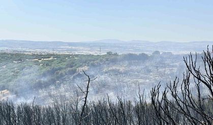 Uşak’ta tarım arazisinde çıkan yangın makilik alama sıçradı