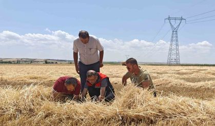 Uşak’ta tarım ekiplerinden biçerdöverlere sıkı denetim