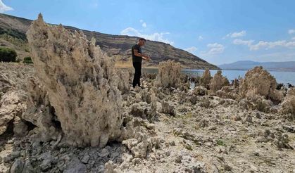 Van Gölü sahilleri mikrobiyalit tarlasına döndü