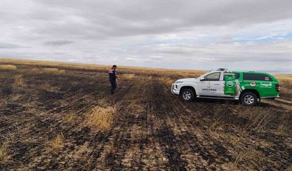 Yangın sonrası doğadaki canlılar kontrol edildi