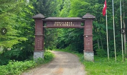 Zonguldak ormanlarda ateş yakılması yasaklandı