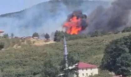 Düzce-Sakarya sınırında orman yangını
