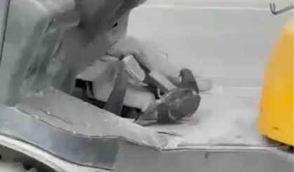 Düzce'de forkliftte seyahat eden kuş gülümsetti