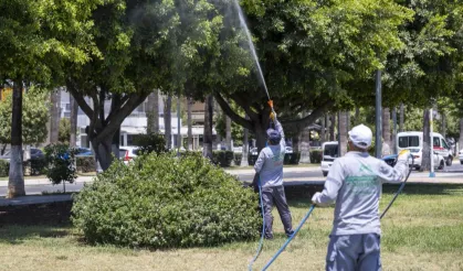 Mersin'de ilaçlama çalışmaları sürüyor