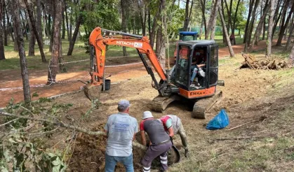 Ordu Ünye Çamlık’ta doğa yenileniyor